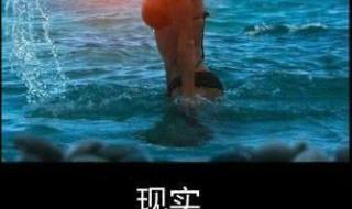 现实很骨感