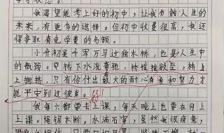 关于朋友的作文 关于朋友的作文